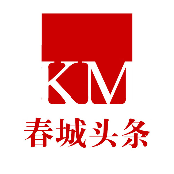 城市舞蹈节压轴演出引发关注，专业新闻稿成为文化传播新载体